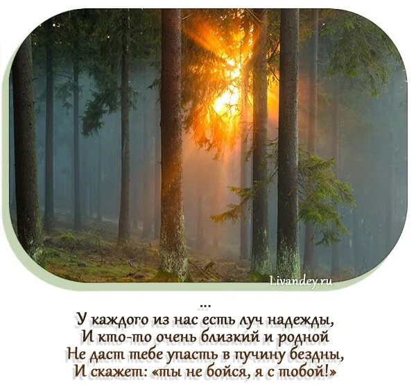 Стихи о надежде на лучшее. Стихи о надежде на лучшее в жизни. Стихотворение последние лучи солнца. Первый Луч солнца цитаты.