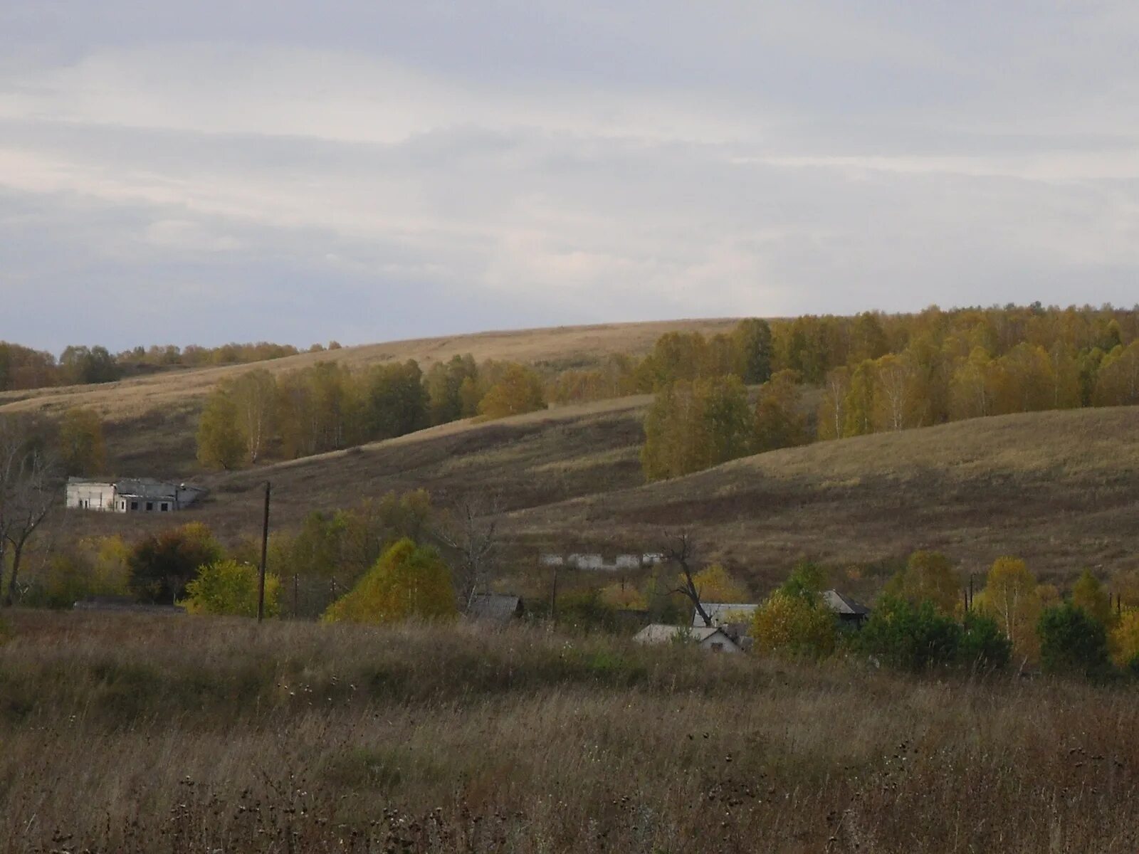 Косихинский район Алтайский край. Малахово Косихинский район Алтайский край. Село Малахово Косихинского района Алтайского края. Село Малахово Косихинского района. Погода украинский алтайский край