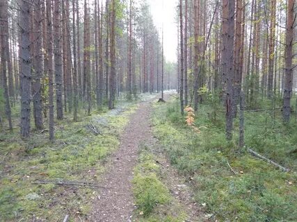 Погода урдома архангельская область ленский