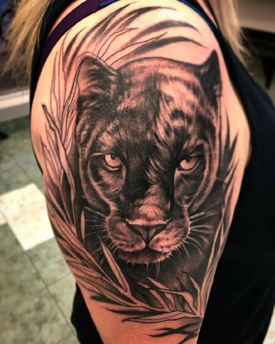 Тату пантера для девушек фото. Тату пантера на плече. Тату пантера значение для девушек. Тара пантер. Тату пантера для девушек.