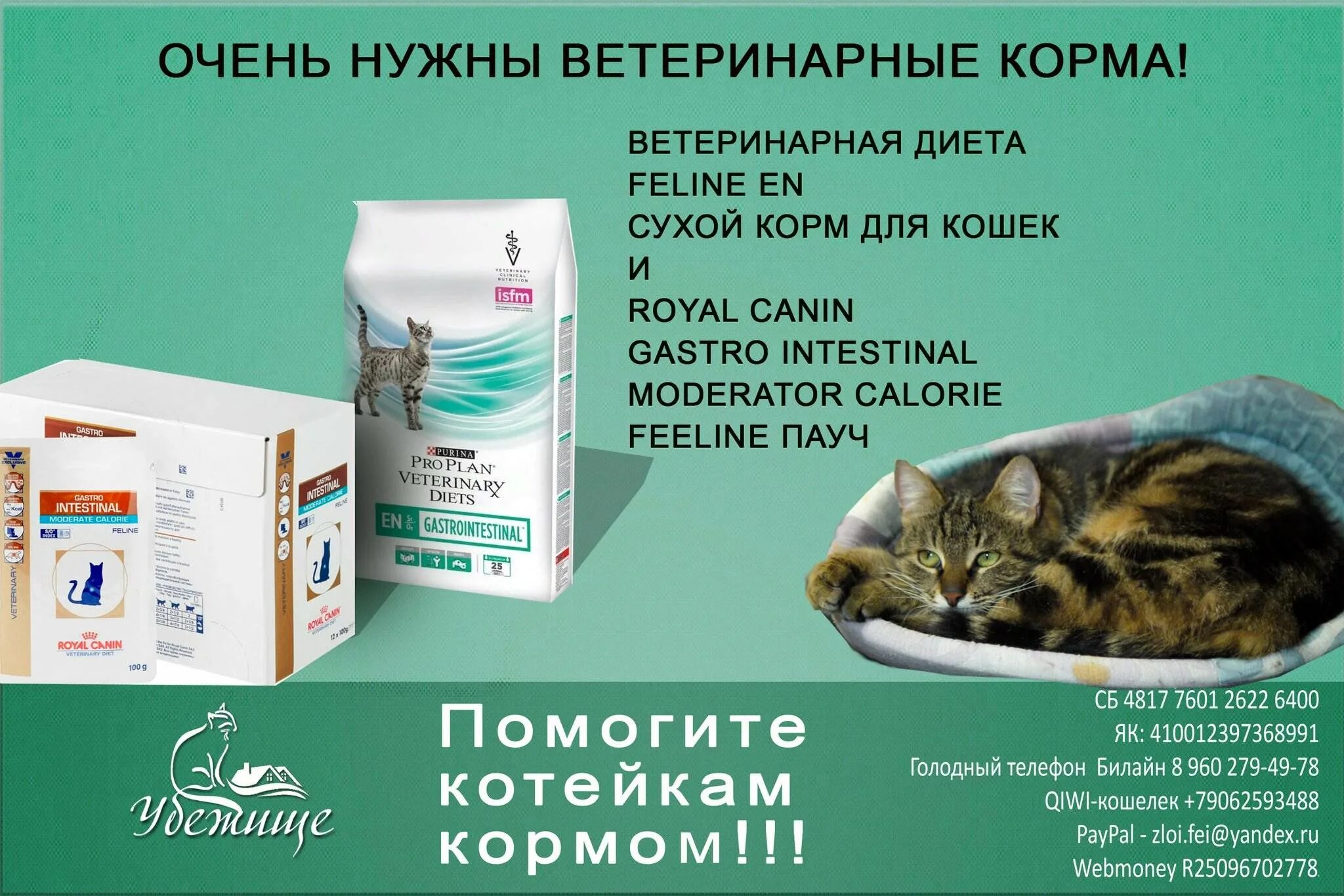 Ветеринар для кошки отзывы. Ветеринарные корма для кошек. Корм для котят советы ветеринаров. Вет диета для кошек. Лучшие корма для котят советы ветеринаров.