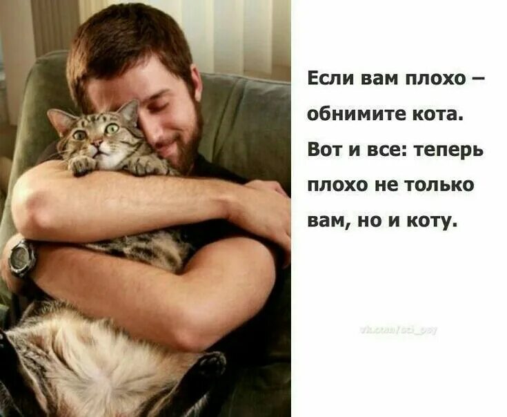 Теперь кота. Кот обнимашки. если вам плохо обнимите кота. если вам плохо крепко обнимите кота. мужчина обнимает котика.