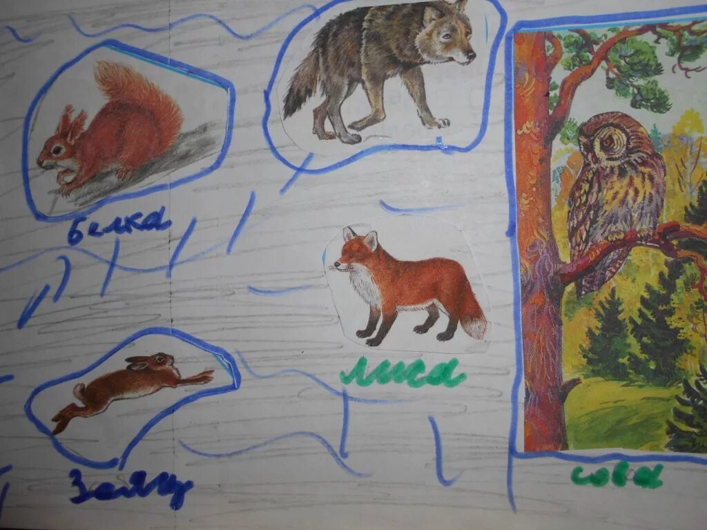 Проект разнообразие природы родного края рисунок. Разнообразие природы родного края 3 класс окружающий мир проект. Разнообразие природы родного края. Разнообразиеприроыроногокрая. Проект разнообразие родной природы.