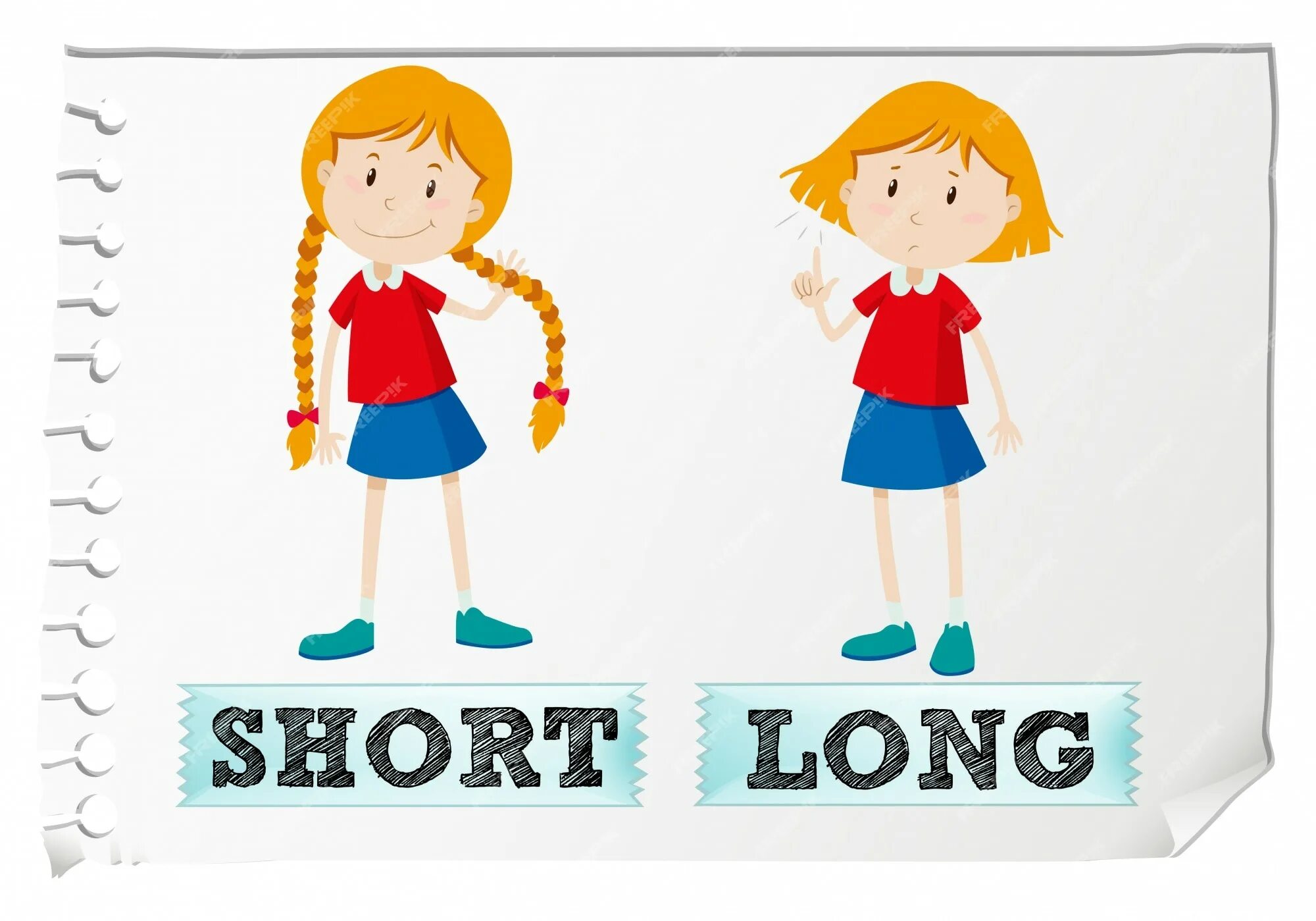 Opposites short. Long short для детей. Длинный короткий на английском. Карточки long short. Long short картинка для детей.