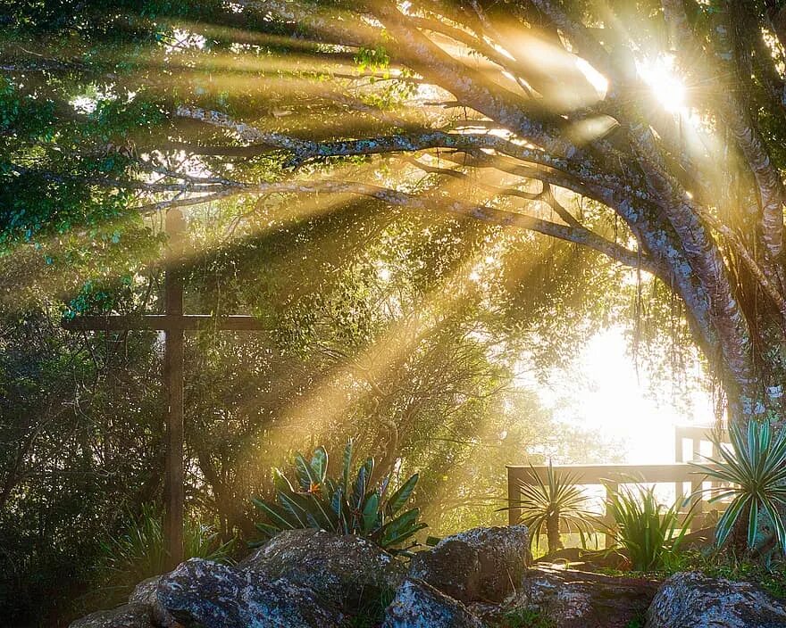 Солнечная постоянная светимость. Солнечные лучи. Солнце. Денеб светимость звезды. Общая характеристика солнца.