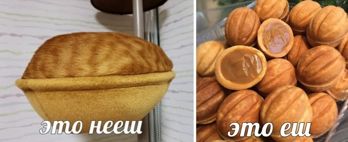 Кот орех. Котик и орехи. нееш. котик орешек. кошачьи орехи.