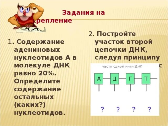 Адениновых нуклеотидов. В молекул ДНК адениновых нуклеотидов. Таблица комплементарности. В ДНК равно угттаатццгуутуа?. В молекуле ДНК количество адениновых нуклеотидов равно количеству.