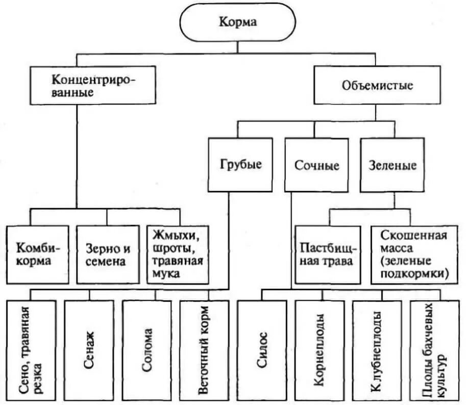 Основные группы растительных кормов. Классификация кормов для КРС. Классификация кормов животного происхождения.. Классификация кормов Зоотехния. Классификация растительных кормов.