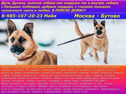 Дуся полное имя