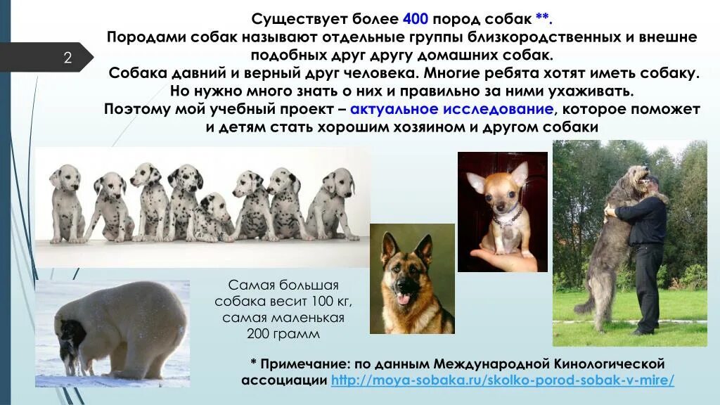 400 пород собак. Какие бывают породы собак презентация. близкородственные породы собак примеры. сейчас на земле насчитывается более 400 пород собак..