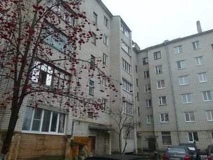 Бельгина разумное