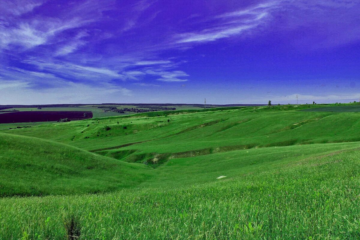 Простор пример. Необъятные просторы. Даль просторы. Простор пример. Просторы раздолье подмосковье.