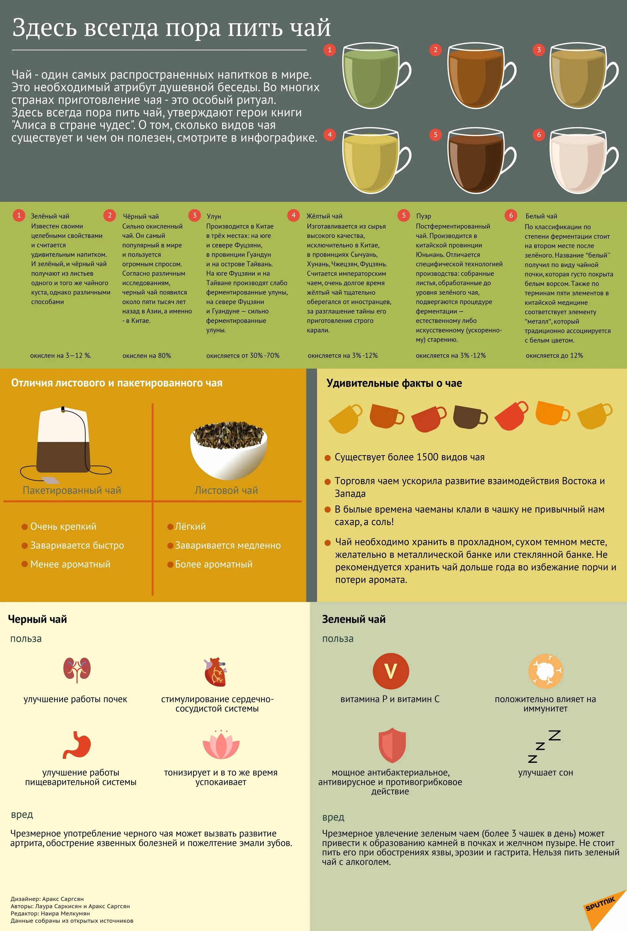 Инфографика чай. Инфографика заваривания чая. Инфографика заварка чая. Инфографика виды чая. Как правильно заваривать черный чай