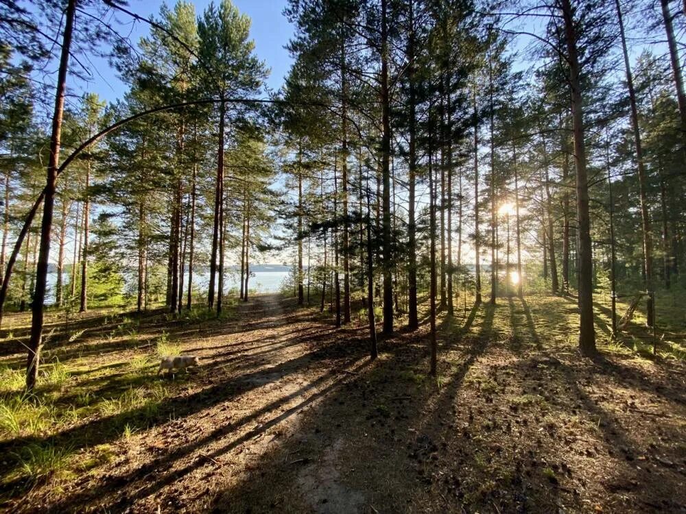 Каким будет лето в пермском крае