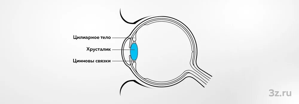 Когда восстанавливается зрение после замены хрусталика. ИОЛ ACRYSOF sn60wf IQ. Линза интраокулярная ACRYSOF. Линзы хрусталик Alcon. Линзы ACRYSOF IQ sn60wf.