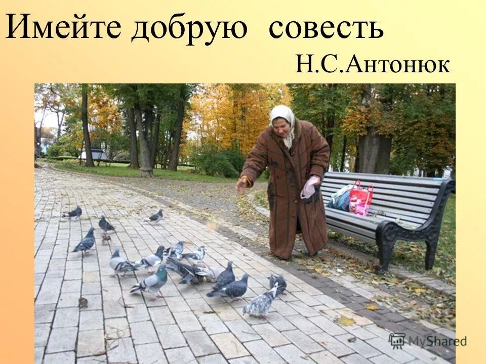 Крым совесть