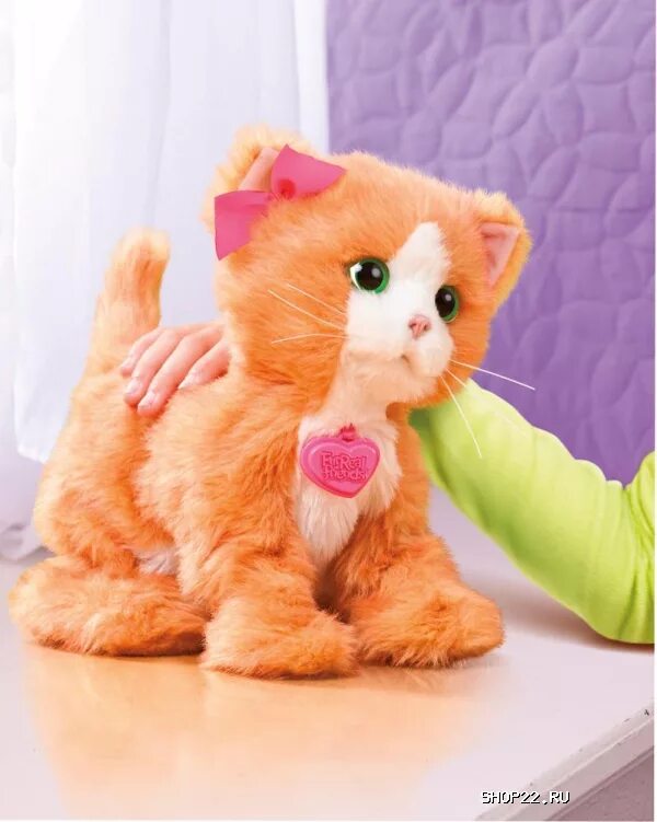 Котенок игривый Дэйзи Hasbro a2003. Игривый котенок FURREAL friends Дэйзи. Hasbro FURREAL friends a2003 Дэйзи игривый котенок. FURREAL friends кошка Дейзи.