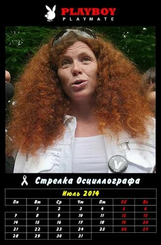 юлия латынина демотиваторы. юлия латынина сша. стрелка осциллографа латынина. стрелка осциллографа латынина. юлия латынина стрелка осциллографа.