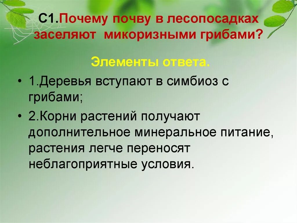 Вопрос о том зачем нужна. Задачи подготовительного этапа проекта. Персональные или групповые проекты. Учебный проект с точки зрения учащегося. Групповой исследовательский проект.