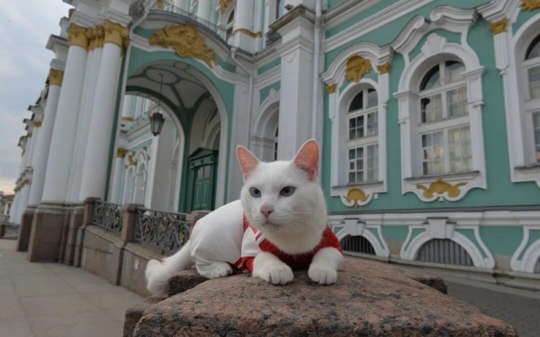 Эрмики коты эрмитажа. Эрмики коты эрмитажа. Эрмики коты эрмитажа. Эрмитажные коты в эрмитаже. Эрмитаж санкт-петербург коты.