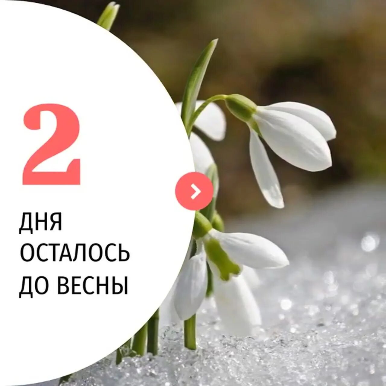 Отсчет до весны. До весны 2 дня. До весны осталось два дня. Открытки до весны осталось 2 дня. До весны осталось дней.