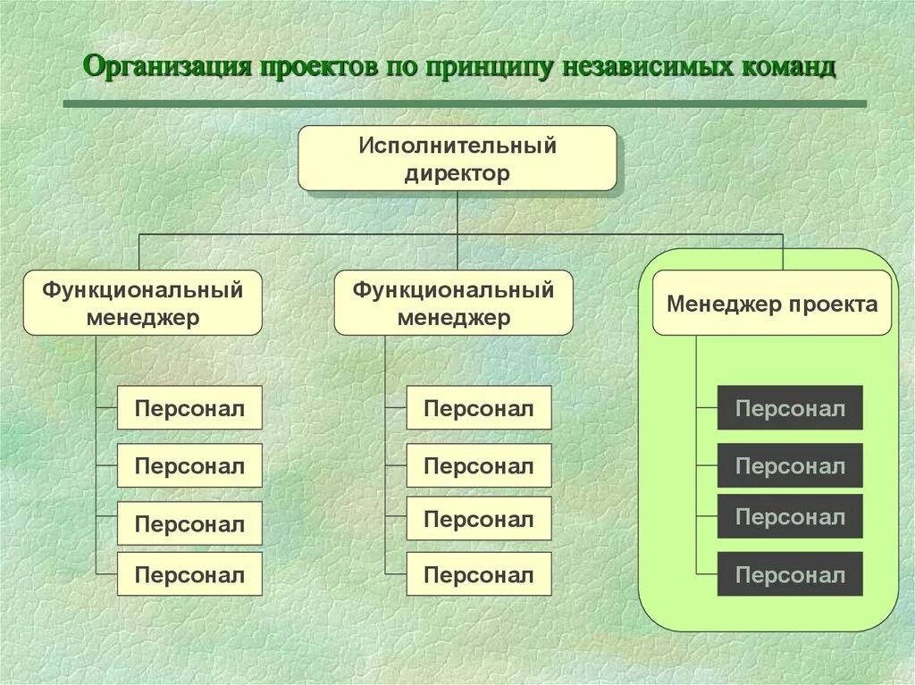 Принципы управления командой проекта. Организация проекта. Принцип независимых проектных команд. Принципы организации управления проектом.