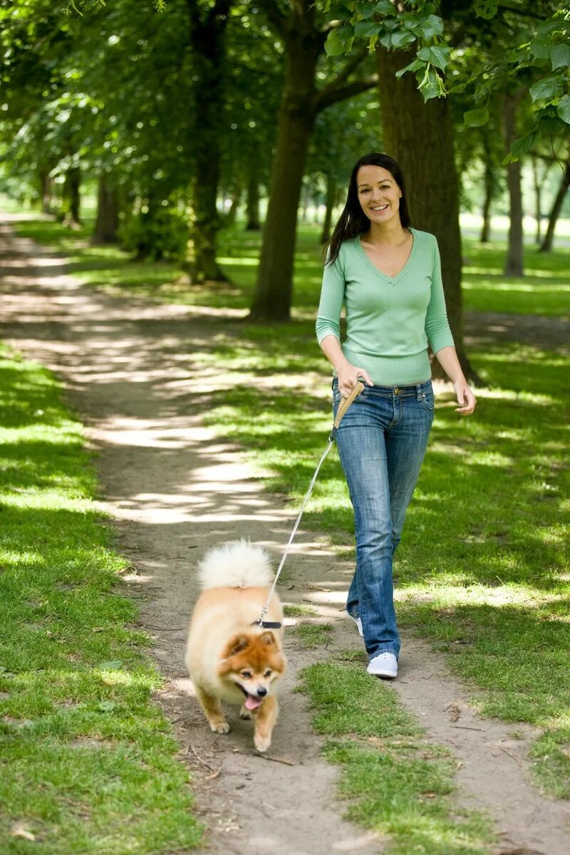 Friend likes to walk. Walk the Dog. Go for a walk with Dog. Take the Dog for a walk. Walk you like a Dog тренд.