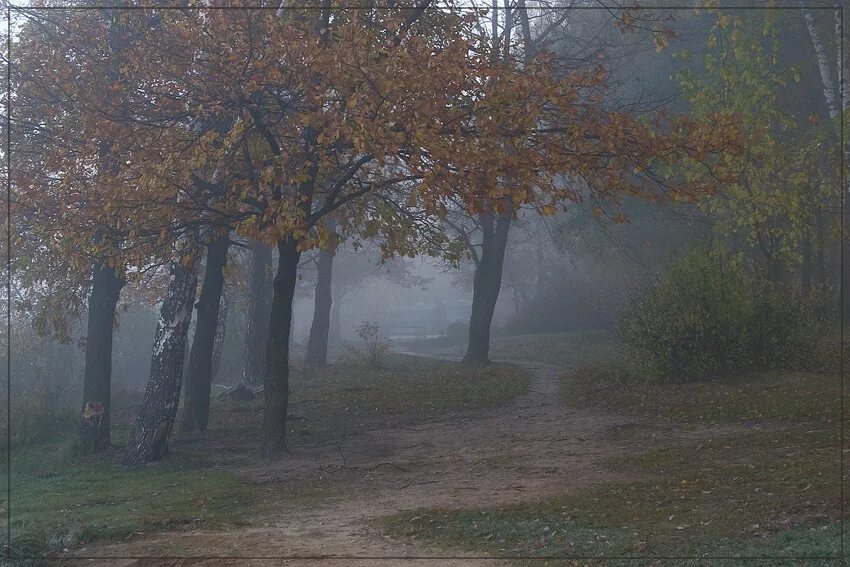 А. Седое утро. Туманное и седое. Туман тургенев. Пейзажи туманные рязанская область.