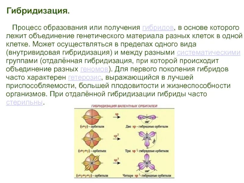 Получение гибридов на основе соединения