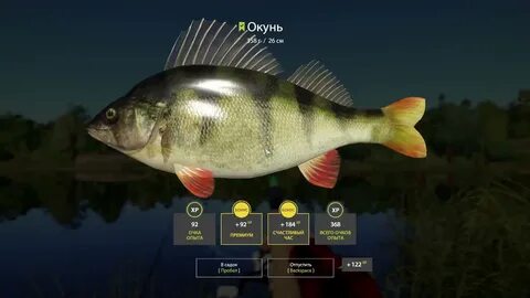 Окунь рр4