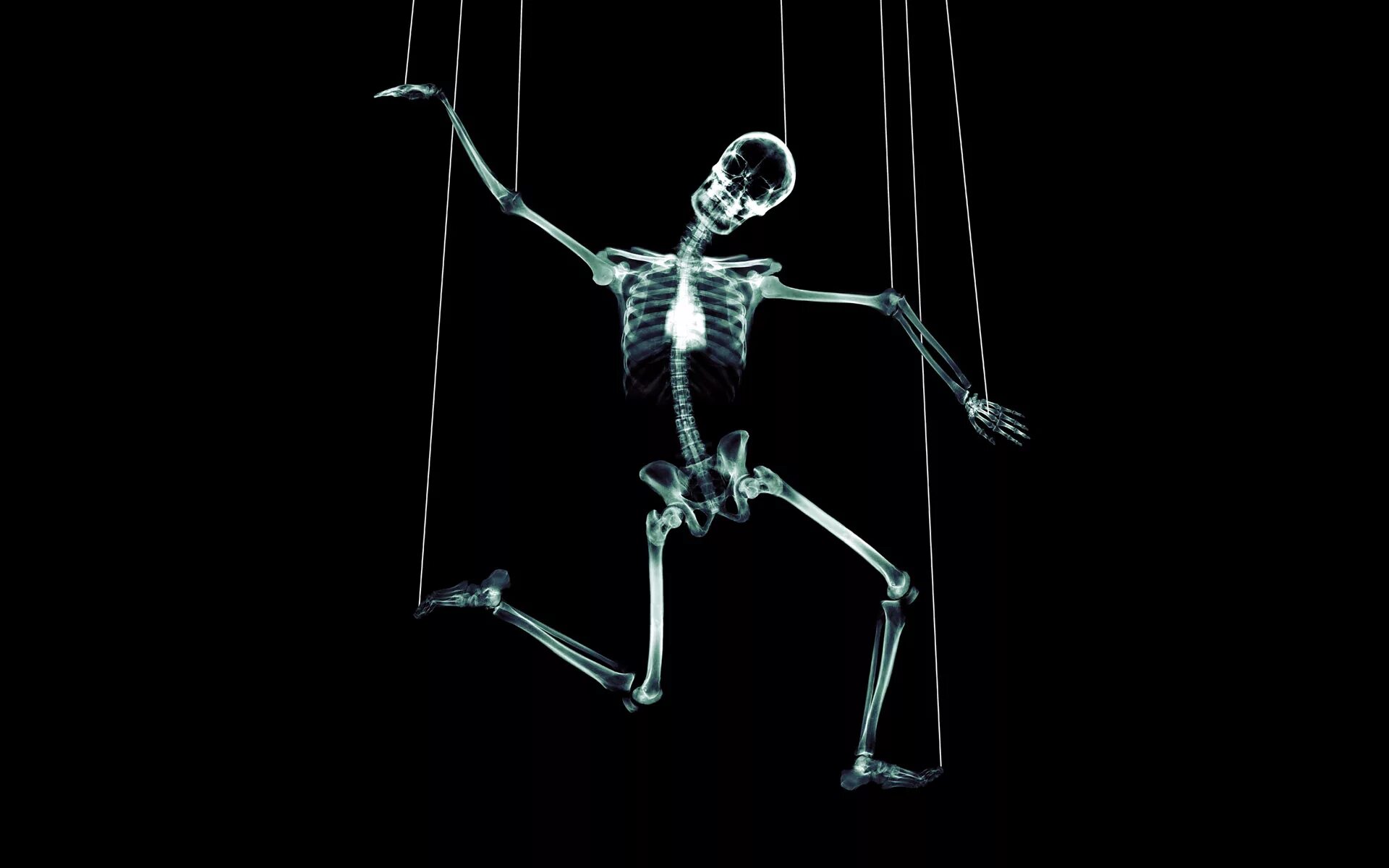 Снимок скелета. Скелет на черном фоне. Скелет на темном фоне. Скелет рентген. Заставка скелета