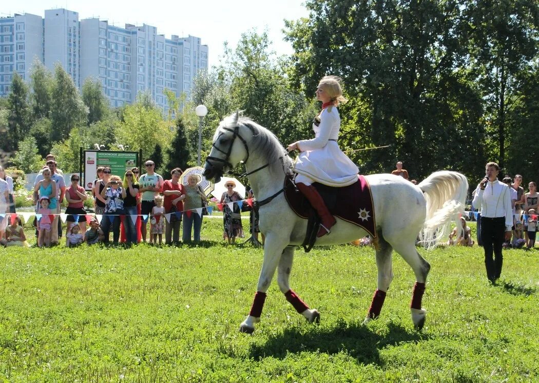 Лошадка в парке. Воронцово Сергиево-Посадский район конюшня. Конный театр кремлевской школы верховой езды. Парк с лошадьми в Москве. Лошадь в парке.