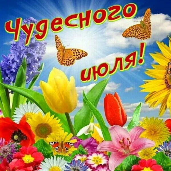 Корзина с клубникой. Июль открытки красивые. Лето клубника. Открытки с первым днем лета. Июль открытки красивые.