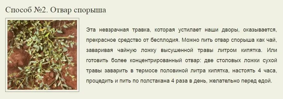 Как быстро забеременеть после первого. Как забеременеть народные способы. Народная медицина для зачатия. Как забеременеть быстро. Как быстро забеременеть забеременеть.