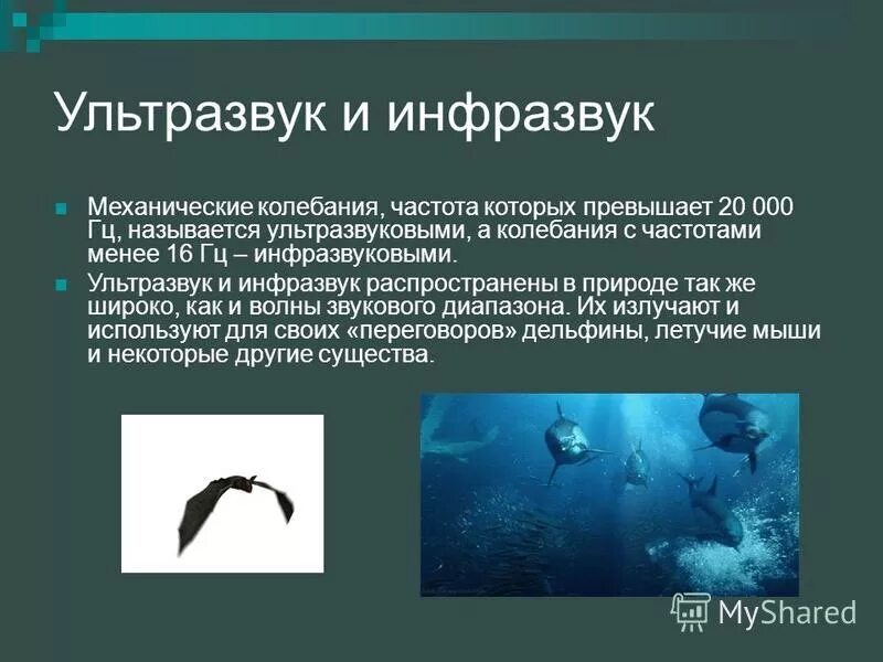 Инфразвук используют. Ультразвук и инфразвук это эхолокация. Ультразвук и инфразвук в природе. Звук ультразвук инфразвук физика. Ультразвуковые и инфразвуковые волны.