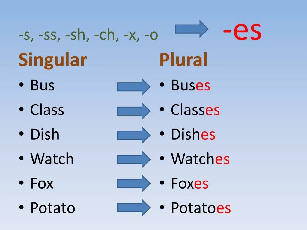 S SS sh Ch x o. Plural form SS sh Ch. Множественное число в английском. Plurals правило. Dish plural