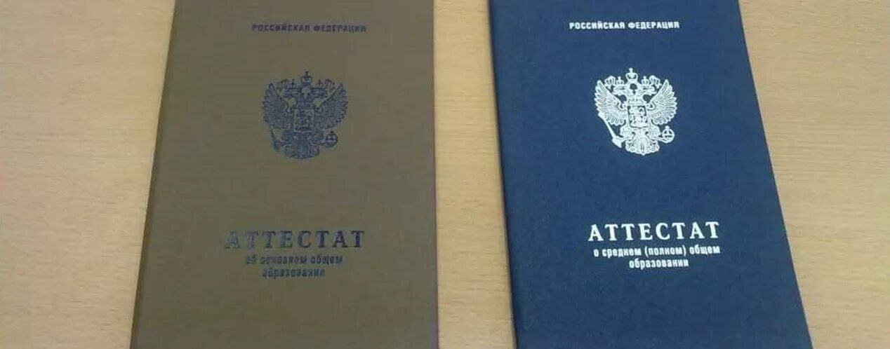 Как называется образование если закончил 11 классов. Как называется образование если закончил 11 классов