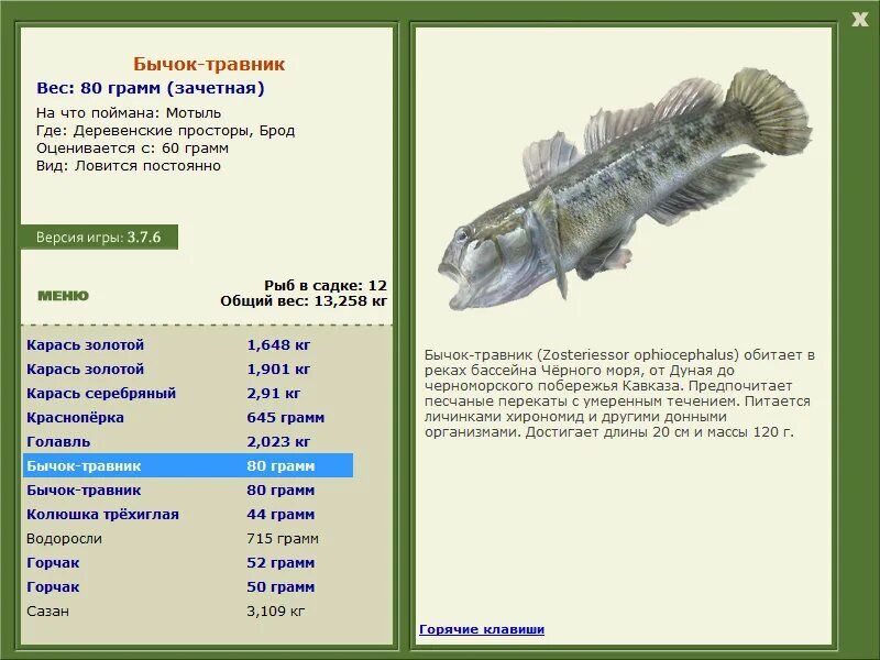 Рыбалка клипарт. Щука карп сом карась окунь ерш. ). Лексическая тема пресноводные и аквариумные рыбки. Сом, лещ, окунь, пескарь, ёрш…).