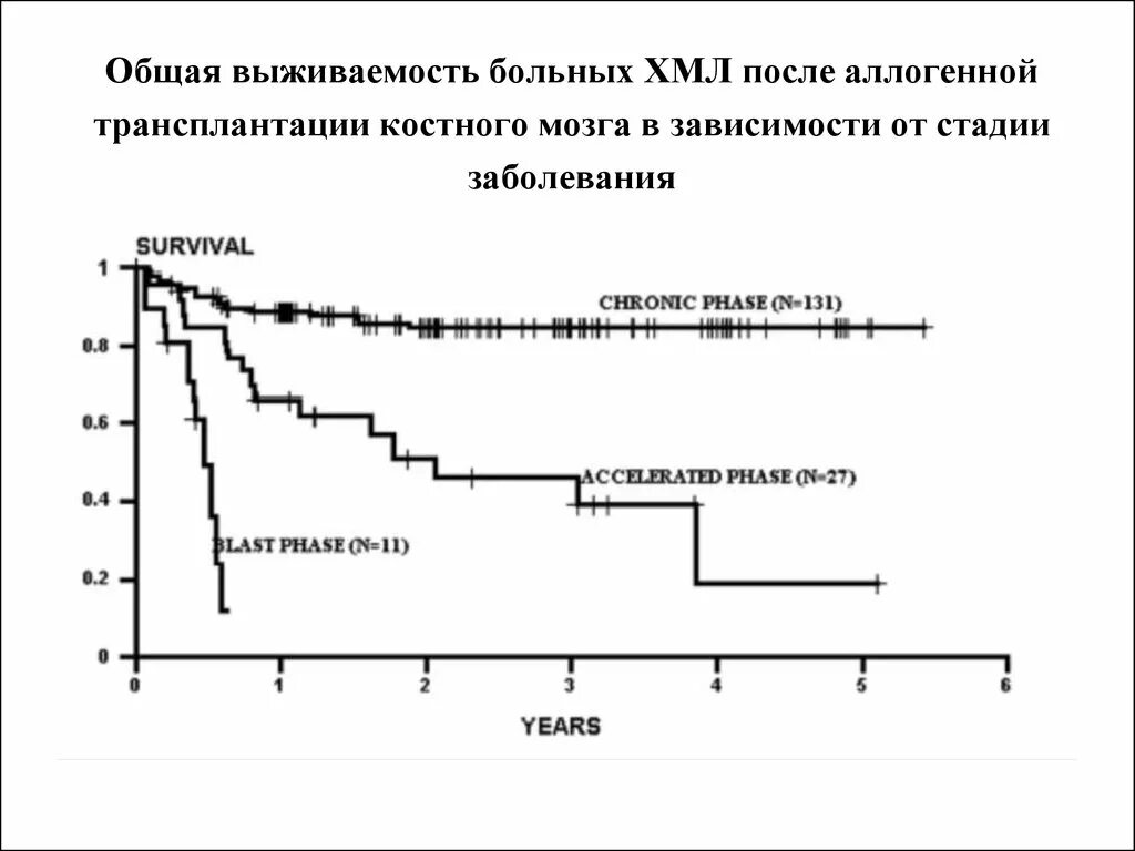 Общая выживаемость. Общая выживаемость в онкологии. Моделирование выживаемости. Статистика выживаемость после трансплантации.
