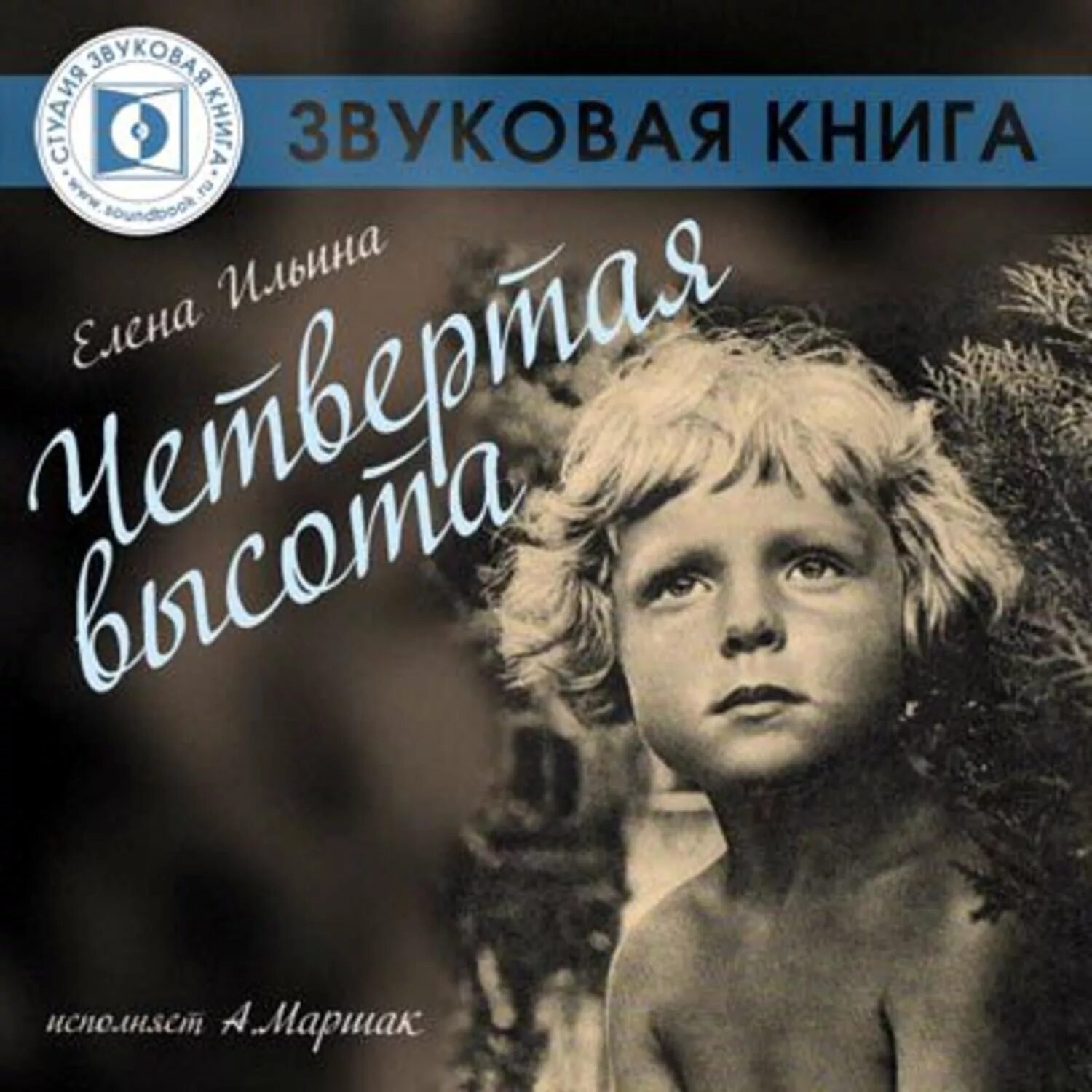 Детей 4 аудиокнига. Четвертая высота Ильина Гуля Королева. Гуля Королева книга четвертая высота.