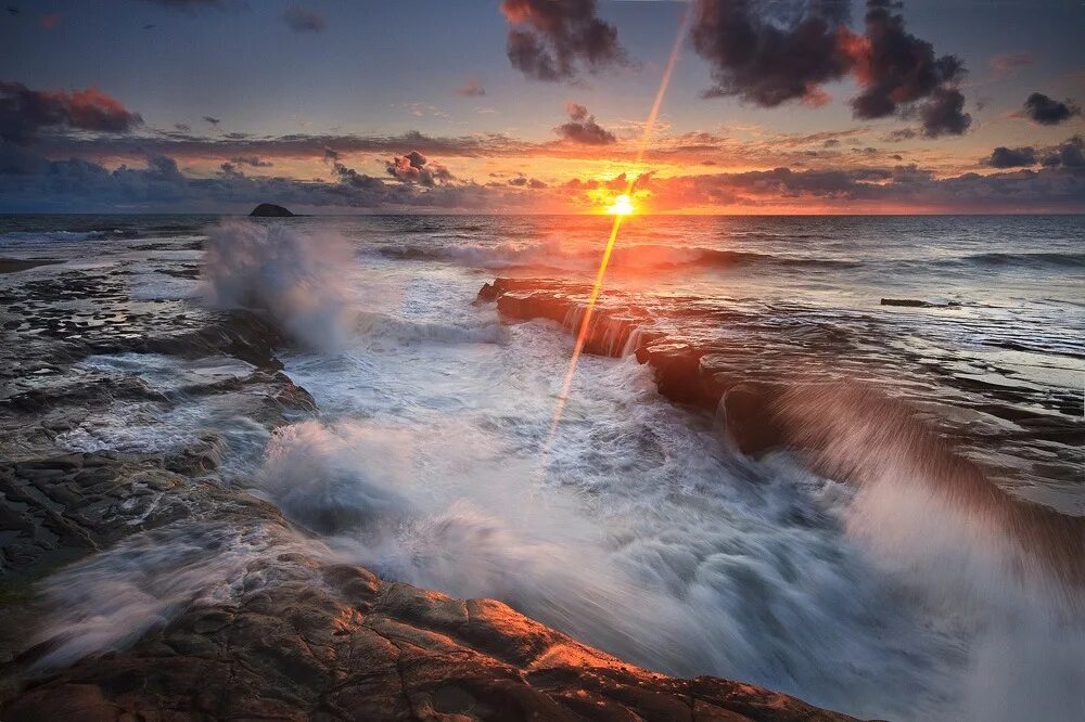 Wild wave