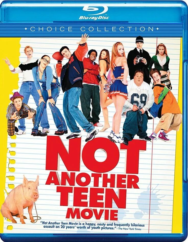 Название недетский дом. Not another teen movie. Not another teen movie обложка.