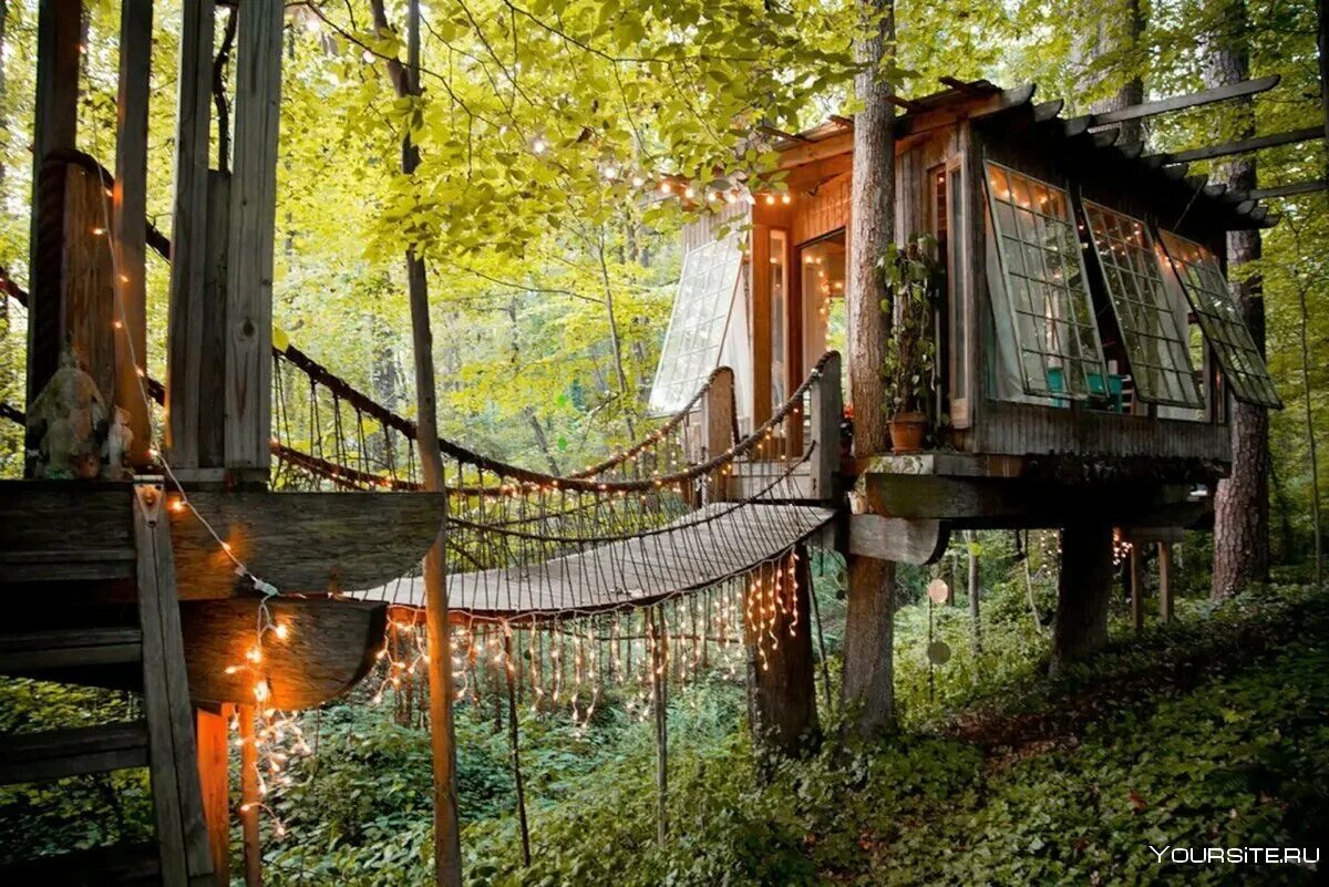 Дом на деревьях Шотландия климанрюк. Отель Treehouse домики на деревьях. Отель «домик на дереве» в Харадсе, Швеция. Беседка храм уединенного размышления