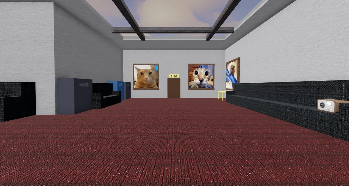 Room b rooms low