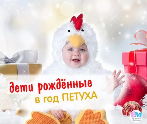 петух характеристика. год петуха 2017. гороскоп рожденного в год петуха. дети рожденные в год петуха. петух характеристика.