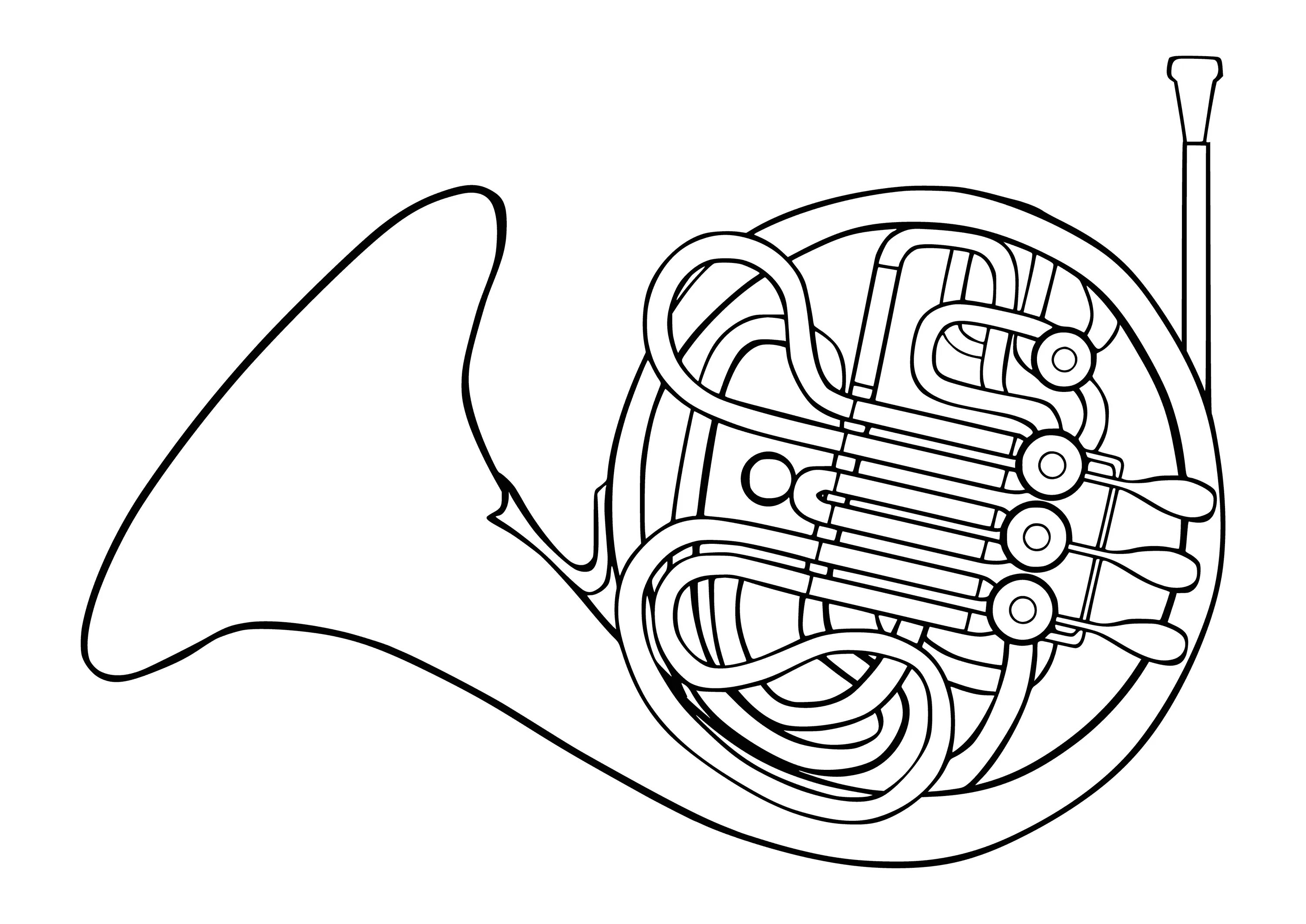Валторна духовой музыкальный инструмент рисунок. Валторна музыкальный инструмент рисунок. Раскраска валторна музыкальный инструмент. 3 Валторны. Распечатать музыкальный инструмент