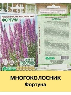 Характеристика фортуна