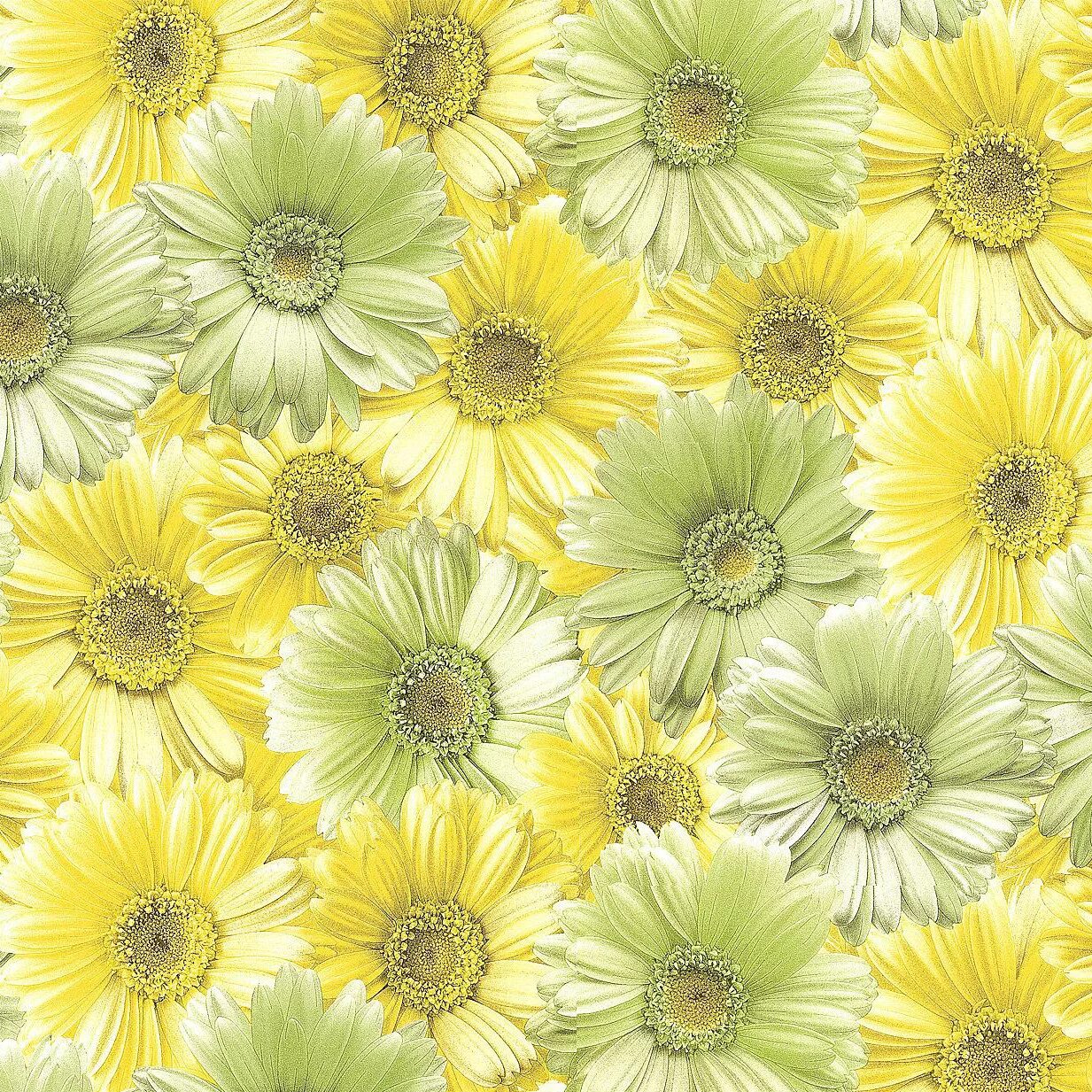 виниловые обои маки. обои виниловые желтые. обои для кухни моющиеся ромашки. обои as creation esprit 12. обои виниловые оранжевые.