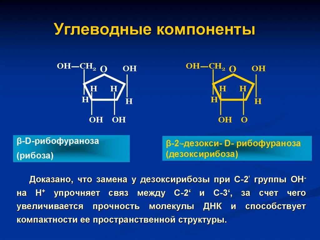 Рибоза какой углевод. 2 Дезоксирибоза. Углеводные компоненты: рибоза и дезоксирибоза.. Структура углеводов дезоксирибоза. Углеводные компоненты.