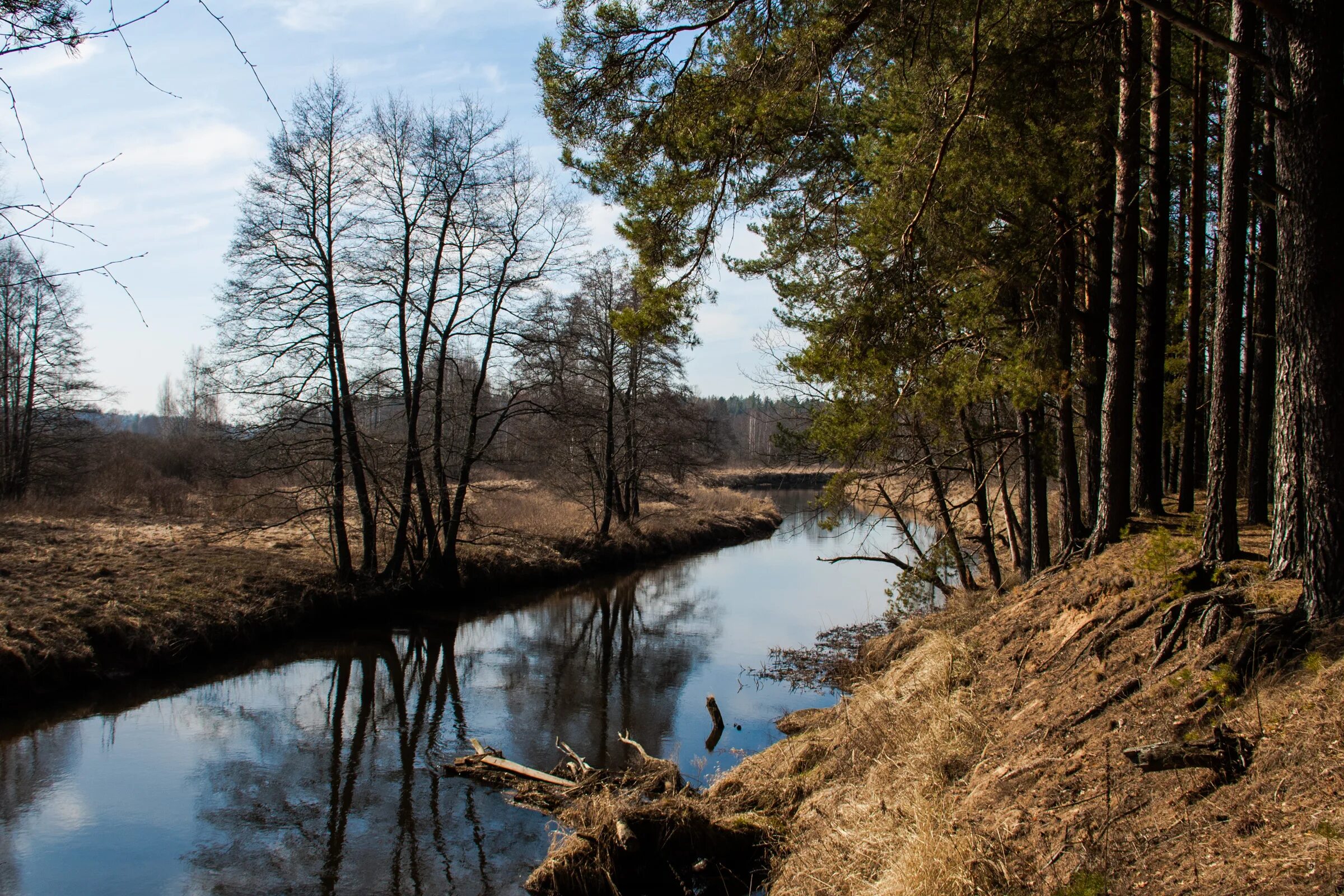 Река берега бобры